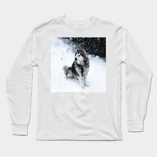 Malamute Dog Waiting on a Snow Field Long Sleeve T-Shirt